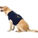 MPS Medical Pet Shirt - Durable Upper Body Shirt for Dogs | Size L | International Shipping Available - Buy Online on GoSupps.com