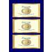 Aureate Luxury Skincare Full-Sized Luxury Scent Trios SMOOTH Polishing Luxury Body Scrub All-Natural Small-Batched Handmade Artisanal Exfoliating Skin-Smoothing All-Purpose Scrub - Buy Online on GoSupps.com