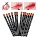 20 Pieces Lip Brushes & Concealer Brushes - 9cm Portable Reusable Easy to Clean with Premium Synthetic Bristles - Buy Online on GoSupps.com
