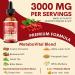 Liposomal Berberine Supplement - 3000mg Berberine Complex Activating AMPK & GLP-1 Berberine HCL Liquid Drop with Ceylon Cinnamon Green Tea Bitter Melon Turmeric and Prebiotic Blend for Women & Men 2 Fl Oz (Pack of 1) - Buy Online on GoSupps.com
