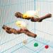 Natural Grapevine Bird Perch Stand for Parrot Cage - Style 1 | Parrot Accessories - Buy Online on GoSupps.com
