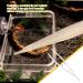 Reptile Feeding Tongs Glow in Dark Feeder Tools Anti Slip Long Tweezers Ergonomic lizards Tweezers feeding tongs reptile feeding tongs snake feeding tongs Feeding Tweezers for Snake Spider - Buy Online on GoSupps.com