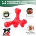 Shop Cvalin Dog Toys for Large Breeds | Aggressive Chew Cubes & Dental Cleaning Stick - Red - Buy Online on GoSupps.com
