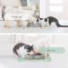Coomazy Slipproof Pet Bowl Pad for Cats & Small Dogs - Silicone Lining Mat (45x26cm Green) - Buy Online on GoSupps.com