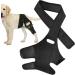 Dog Leg Support Brace | with 10 Support Sticks Dog Back Leg Brace | Comfortable Hip and Leg Protector Breathable for Small Senior and Disabled Dogs - Buy Online on GoSupps.com