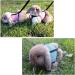 Soft Rabbit Dishes with Leash - Adjustable 2-Piece Mesh Kitten Pet Dishes for Comfortable Jogging - Buy Online on GoSupps.com