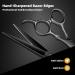 Professional Stainless Steel Hairdressing Scissors - Salon Barber Hair Cutting Tools | Gift for Mother, Father, Friends (BLACK-01) - Buy Online on GoSupps.com