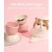MS!MAKE SURE Elevated Ceramic Cat Bowl for Food and Water - Anti Vomiting & Whisker Fatigue Relief - Raised Tilted Cat Food Bowl for Indoor Cats in Green - Buy Online on GoSupps.com