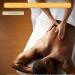 Bon Vital' Original Massage Oil - 1 Gallon | Relax Sore Muscles, Repair Dry Skin | Top Choice for Professional Massages - Buy Online on GoSupps.com