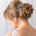 PRETTYLIFE Crystal Bride Wedding Hair Comb - Silver Vine Bridal Hair Accessories for Women and Girls (Royal Blue) - Buy Online on GoSupps.com