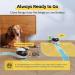 Enabot EBO Air Home Security Pet Camera 2 Way Talk Night Vison Wireless APP Remote Control Indoor Security Camera Movable Rechargeable Cam for Dog/Cat SD Card Storage - Buy Online on GoSupps.com