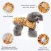 Adjustable Dog Raincoat - Waterproof Lightweight Jacket for Medium Bee Breed with Reflective Strip - Buy Online on GoSupps.com