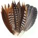 Flying Feathers Natural Pheasant Feathers 4 Style 15-20cm 12pcs Natural Feathers for DIY Craft Home Party Decorations FF03