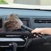 Set Duster Household Ostrich Duster Car Sweeping Artifact Cleaning Tool Chicken Duster Dusting Soft Brush Handle Dusters Brushes - Buy Online on GoSupps.com