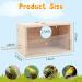 RANYPET Transparent Budgie Nesting Box with Perch | Wood Bird Cage House for Lovebirds, Budgies, Finch | 12x12x19.5 cm - Buy Online on GoSupps.com