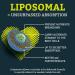 Vegan Liposomal Ubiquinol CoQ10 1000mg - Heart Health Support for Statin Users - Buy Online on GoSupps.com