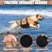 Emust Dog Lifeguard Life Jacket - Premium Floating Vest for Small Medium & Large Dogs | Swim Safe with Bright Orange XL Design - Buy Online on GoSupps.com