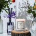 Chloefu Lan Ocean Lever Luxury Soy Candle - 280g 65 Hour Burn Time Perfect Gift for Women - Buy Online on GoSupps.com