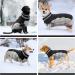 Kuoser Waterproof Dog Coat - Cold Weather Jacket for Small & Medium Dogs | Fleece Lined Reflective Winter Vest - Cozy Pet Clothing - Size M Black - Buy Online on GoSupps.com