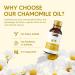 Hemani Chamomile Oil (Matricaria chamomilla) 30ml - Soothing Aromatherapy Essential Oil for Relaxation Calming Ambiance Uplifting Experience Meditation Yoga Sensual Massage & Romantic Fragrance. - Buy Online on GoSupps.com