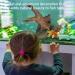Natural Driftwood Aquarium Decor - Assorted Branches for Reptile/Fish Tank (2 Pack, 9-14 inch) - Buy Online on GoSupps.com