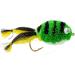 Fly Fishing Place Bass Bug Collection - Set of 12 Bass Fly Fishing Flies - Surface Poppers, Divers, Subsurface - Hook Sizes 2, 4, 6 - Buy Online on GoSupps.com