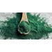 klamath blue green algae - BLUE GREEN ALGAE 500MG from Klamath Lake - antioxidant nutritional supplements spirulina pills extra strength energy pills for women immune booster - 2 Bot 120 Capsules - Buy Online on GoSupps.com