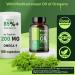 VEGAGENO - Oregano Essential Oil | 180 Vegetable Capsules Dietary Supplement with Extra Virgin Olive Oil and Oregano Essential Oil with Omega 9 and Carvacrol | Oregano Oil - Buy Online on GoSupps.com