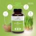 Buy Kunatura Organic Barley Grass Tablets - 300 High-Dose 500mg - Made in Germany - 100% Pure - International Shipping Available - Buy Online on GoSupps.com