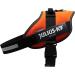 Buy IDC Powerharness 2XL/3 - UV Orange | International Shipping Available - Buy Online on GoSupps.com