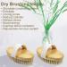 GiimiBash Bamboo Dry Body Brush for Smooth Skin, Blood Circulation, and Cellulite Treatment - Soft and Stiff Bristles - Suitable for All Skin Types - Buy Online on GoSupps.com