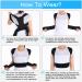 Back Posture Corrector for Kids & Teens | Improve Posture Prevent Slouch & Relieve Back Pain - Buy Online on GoSupps.com