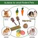 AKlamater 14Pcs Rabbit Chew Toys Natural Sticks for Rabbits Loofah Wood Grass Ball String for Rabbits Guinea Pig Hamsters Chinchilla - Buy Online on GoSupps.com