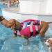 Kuoser Life Jacket for Dogs - Durable & Buoyant Dog Vest for Small Medium & Large Breeds - High Security Pink Swimming Vest - Buy Online on GoSupps.com