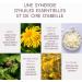 Enea Sens - Baume de Soin SOS Arnica Bio - Douleurs Musculaires - Huiles Essentielles - Cire d'Abeille M l ze H lichryse Mac r t Huileux d'Arnica Montana - 30 ml - Fabriqu en France - Buy Online on GoSupps.com
