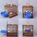 YJJKJ Caged Bird Bath for Small Birds - Parrot Supplies Bathing Tub for Canary, Budgerigar, Cockatiel, Lovebird (Random Color) - Buy Online on GoSupps.com
