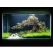 Aquarium Wood Bonsai Tree Decoration Premium Pieces Aquascaping Root Iwagumi Tree L 30x25x20cm - Buy Online on GoSupps.com