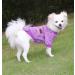 Hualisiji Dog Sweater for Small Dogs | Chihuahua Hoodie | Warm & Light Knitted Sweater (Blue & Purple Size S) - 2PCs - Buy Online on GoSupps.com