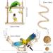 Allazone Bird Parrot Toys 13 PCS Hanging Bell Pet Bird Cage Hammock Swing Toy Wooden Chewing Toy for Conures Love Birds Small Parakeets Cockatiels Macaws Style 7 - Buy Online on GoSupps.com