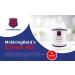Mr. Stringfields Clean All - Ultimate International Cleaning Solution | Shop Now - Buy Online on GoSupps.com