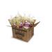 Buy Al Dente Basil Fettuccine - 12oz Bags, Pack of 6 | Premium Pasta Online - Buy Online on GoSupps.com