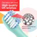Toothbrush Replacement Heads for Colgate Hum - Compatible Smart Battery Electric Brush Heads (10 Count) - Green - Buy Online on GoSupps.com