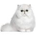 Eye Envy Tear Stain Wipes for Cats | Gentle Textured Cleanse | 100% Natural Formula | Recommended by Breeders, Vets & Groomers | 60 Ct - Buy Online on GoSupps.com