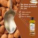Pure & Natural Virgin Sweet Almond Oil Cold Pressed Pure Al Hawaj Elhawag El Hawag Concentrated Crude Perfect Fresh For Skin & Body (1 Pack 17.64 oz / 500 ml)  - Buy Online on GoSupps.com