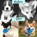 CIIVURR Interactive Squeaky Dog Puzzle Toy - IQ Training Snuffle Toy for Small, Medium, and Large Dogs (Blue Rabbit) - Buy Online on GoSupps.com