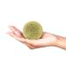 Zest Of Moringa Hair & Skin Care Set | 100% Natural Moringa Soap Oil Shampoo & Conditioner | Shop Internationally for Glowing Skin & Healthy Hair - Buy Online on GoSupps.com