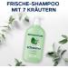  Schauma Schauma Schwarzkopf Shampoo 7 Herbs (2 x 750 ml) - Shampoo for Normal to Oily Hair Quickly - Buy Online on GoSupps.com
