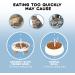 GOODSKY Raised Cat Dog Slow Feeder Bowl with Stand - Ceramic Elevated Anti-Skid Pet Bowl for Healthy Eating - 3 High, 8.5 Wide Fish-bone Blue - Buy Online on GoSupps.com