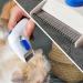 Electric Flea Comb Lice Comb Electric Pet Doctor for Flea Lice Treatment Eliminator Professional Flea Comb Remover Kit for Cats & Dog Pet - Buy Online on GoSupps.com