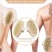 Set of 3 Dry Body Shower Brushes for Cellulite Reduction and Lymphatic Drainage - Buy Online on GoSupps.com